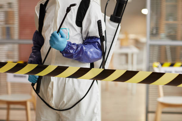 Professional Blood Cleanup technician working in Piñon Hills, CA