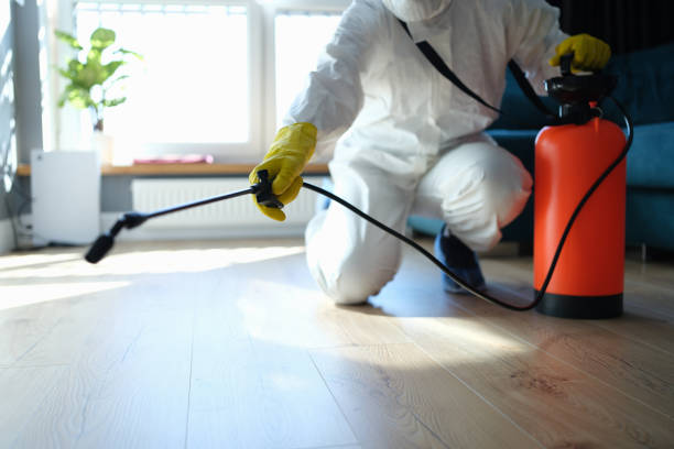 Reliable Blood Cleanup contractor in Piñon Hills, CA by Dulley Family Biohazard Services